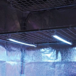 Adaptateur 24V pour Cosmorrow LED 40W Secret Jardin