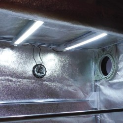 Adaptateur 24V pour Cosmorrow LED 40W Secret Jardin