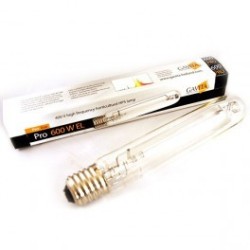 Ampoule Gavita Pro 600 watts 400v