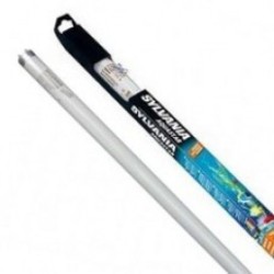 Tube Néon Sylvania 18 watts Aquastar