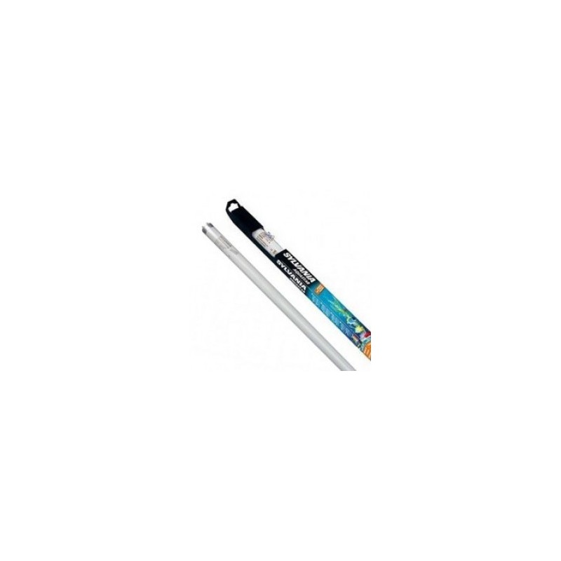 Tube Néon Sylvania 18 watts Aquastar