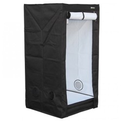 Homebox Evolution Q80