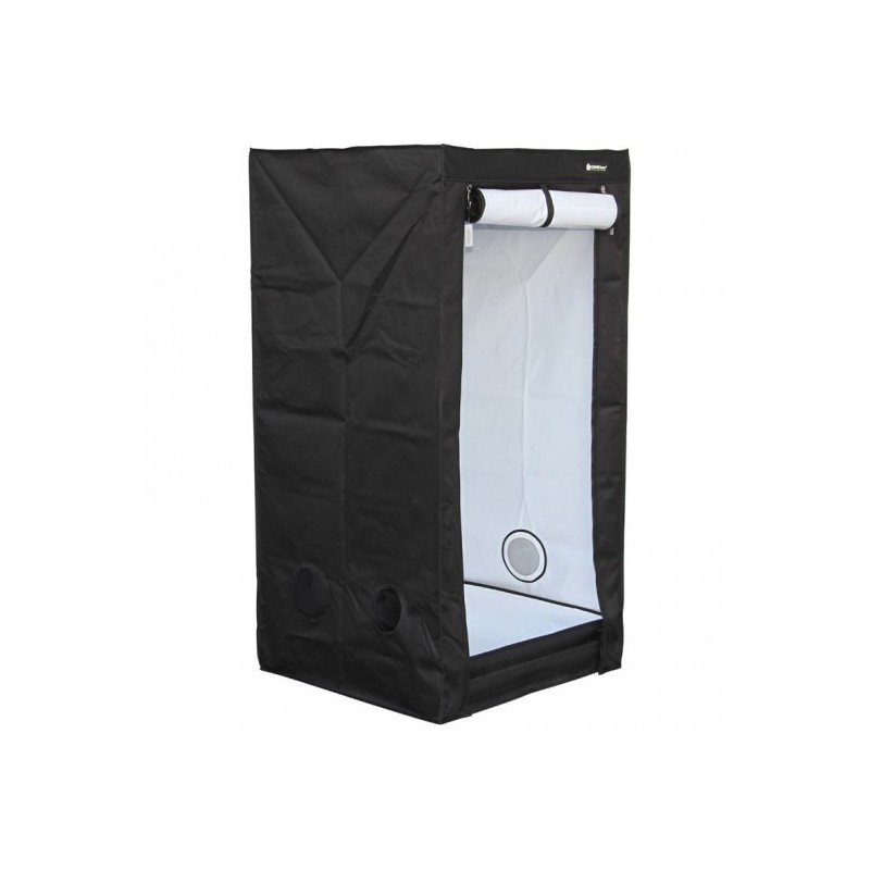 Homebox Evolution Q80