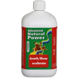  Dutch Formule Growth/Bloom Excellerator 500 ml