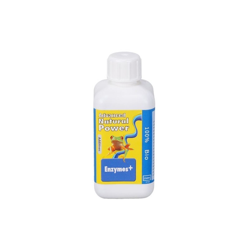 Dutch Formula Enzyme 500 ml