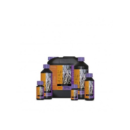 B’cuzz Root Stimulator 1 litre B’cuzz Root Stimulator 1 litre