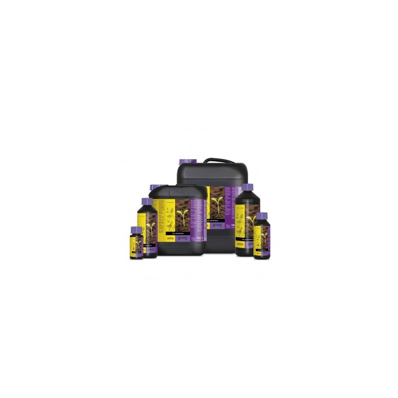 B’cuzz Soil Nutrition A&B 2x10 litres