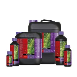 B’cuzz Coco Nutrition A&B 2x10 litres