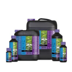 B’cuzz Hydro Nutrition A&B 2x5 litres