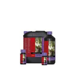B’cuzz Coco Booster Universal 5 litres