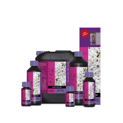 B’cuzz Bloom Stimulator 500 ml