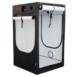 Homebox Evolution Q120