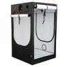 Homebox Evolution Q120
