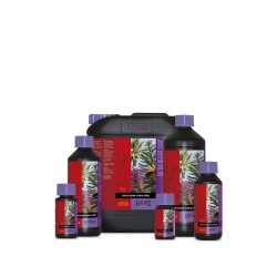 B’cuzz Coco Bloom Stimulator 5 litres