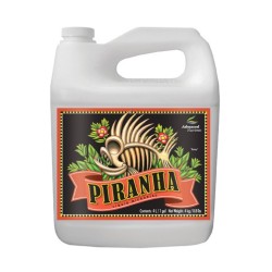Piranha liquide 5 litres