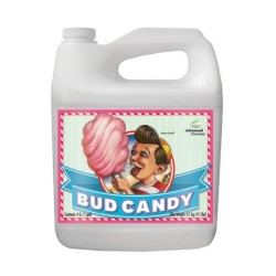 Bud Candy 5 litres