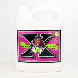 Bud Factor X 5 litres