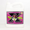 Bud Factor X 5 litres
