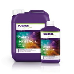 Green Sensation 5 litres