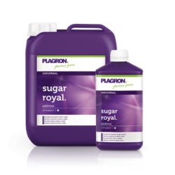 Sugar Royal 100 ml
