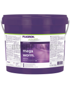 Mega Worm