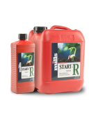 Start-R