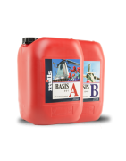 Basis A+B