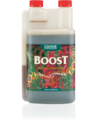 Boost Accelerator