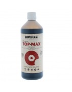 Top Max
