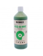 Alg A Mic