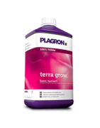 Terra