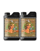 Sensi Bloom Coco A+B