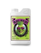 Big Bud