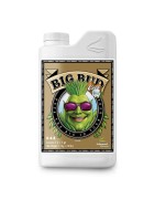 Big Bud Coco