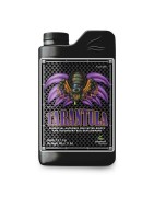 Tarantula