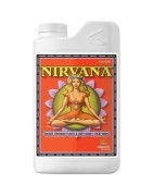 Nirvana