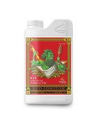 Bud Ignitor