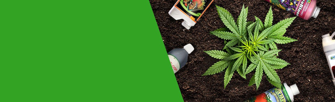 Fertilizer