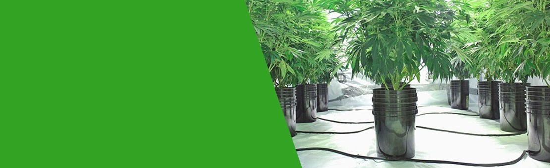 Cultivation system